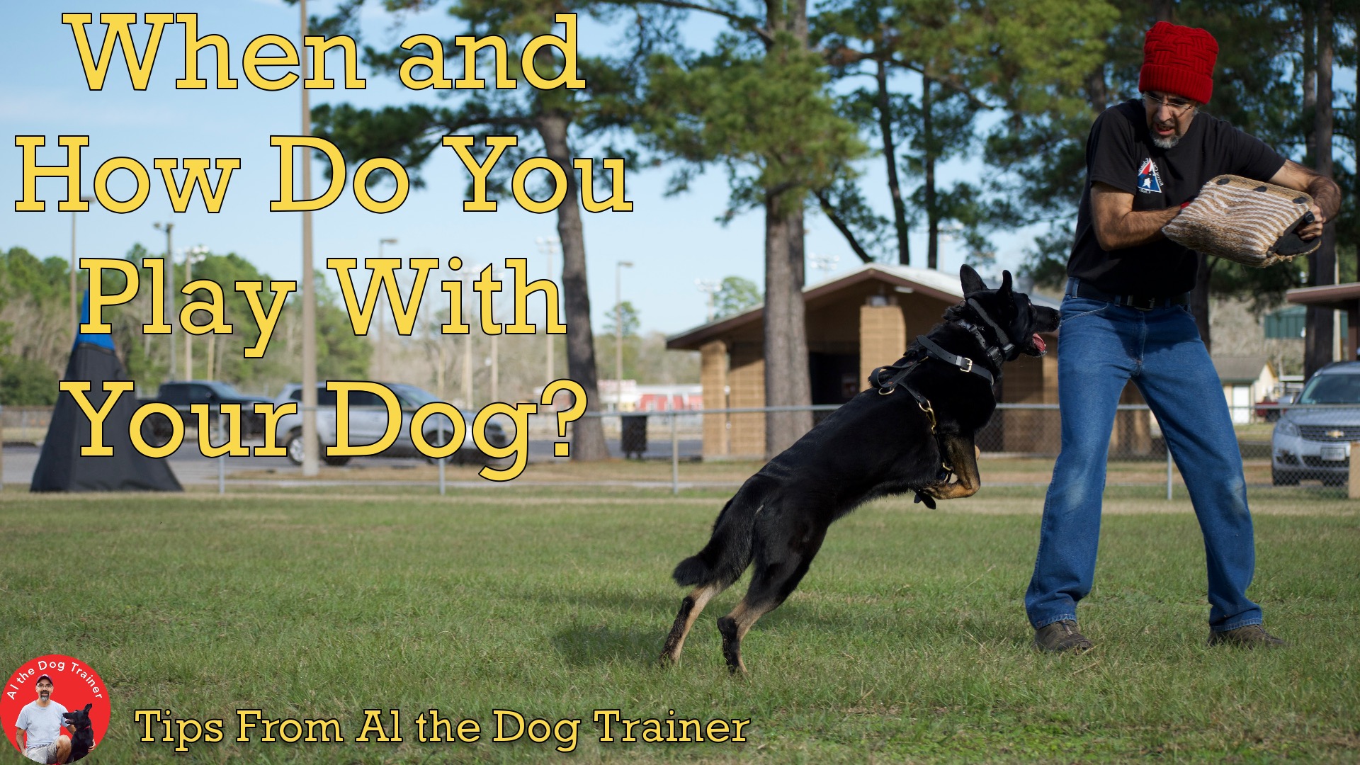 When and How Do You Play With Your Dog? - Longoriahaus Dog Training