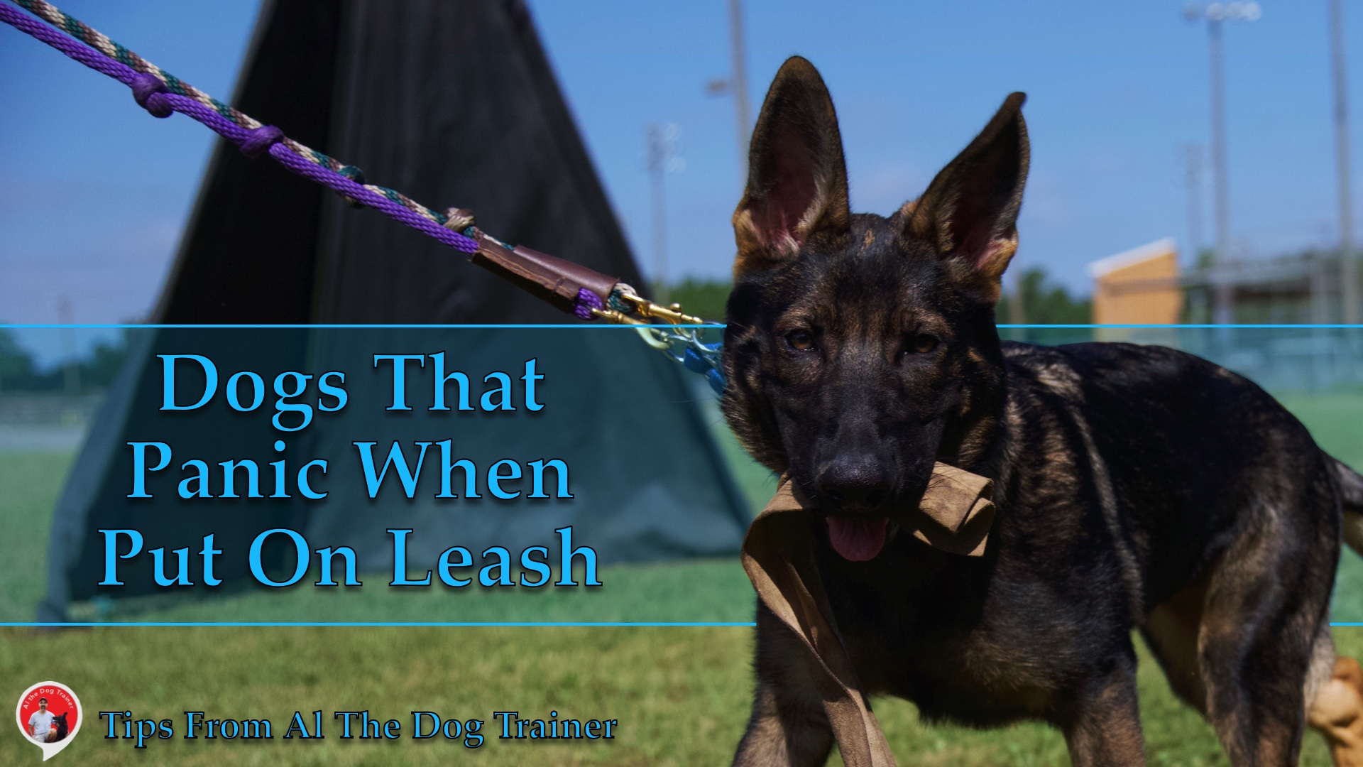 Leash pressure clearance training