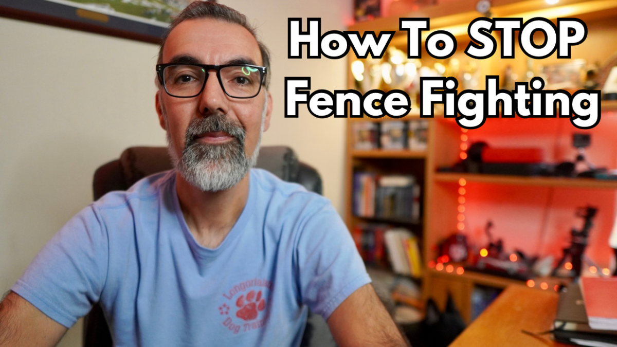 How to Stop your dog from Fence Fighting - Longoriahaus Dog Training