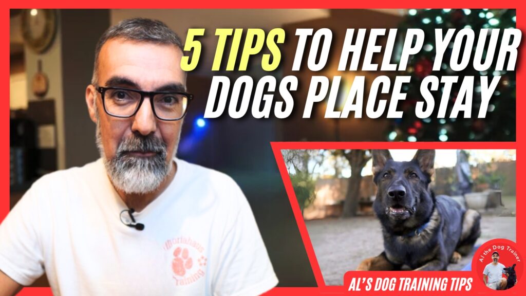 Professional dog trainer Al the Dog Trainer shares five helpful tips for improving your dog's place stay. The video includes demonstrations on how to increase your dog’s focus, duration, and reliability while they remain in their designated spot. Al provides clear, actionable advice for dog owners looking to enhance their dog’s place stay behavior