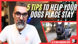 Professional dog trainer Al the Dog Trainer shares five helpful tips for improving your dog's place stay. The video includes demonstrations on how to increase your dog’s focus, duration, and reliability while they remain in their designated spot. Al provides clear, actionable advice for dog owners looking to enhance their dog’s place stay behavior