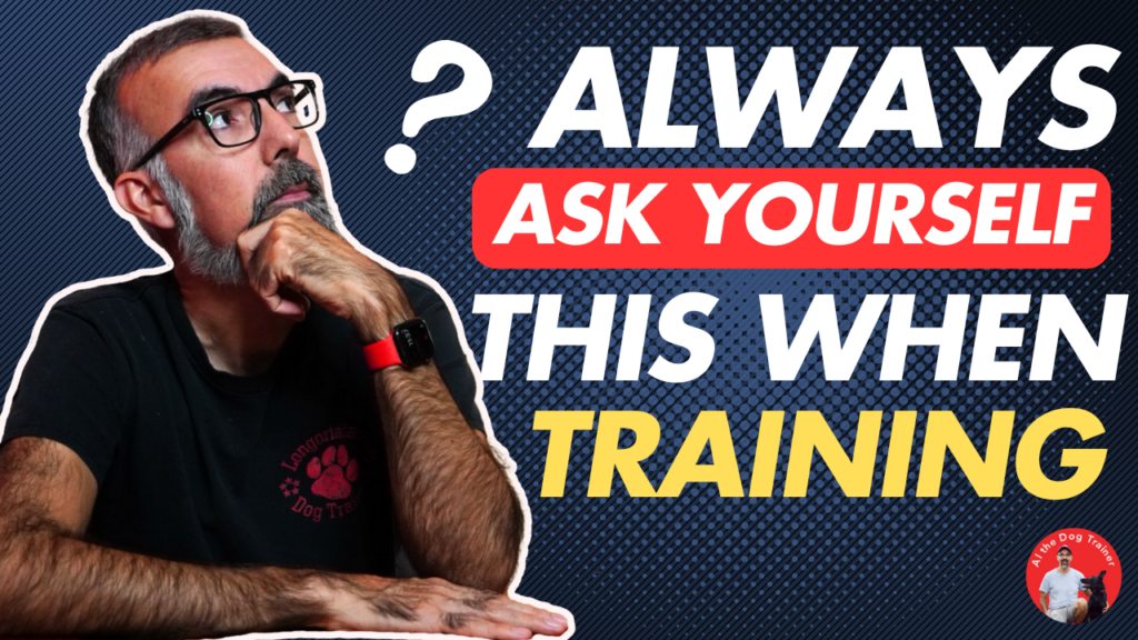 In this video, professional dog trainer Al the Dog Trainer explains the two key questions every dog owner should ask when training their dog. Al discusses how these questions can guide effective training strategies and improve communication with your pet. The video includes tips and demonstrations to help dog owners get better results from their training sessions.